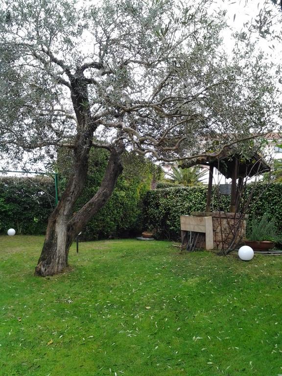 Robert House Lägenhet Alghero Exteriör bild